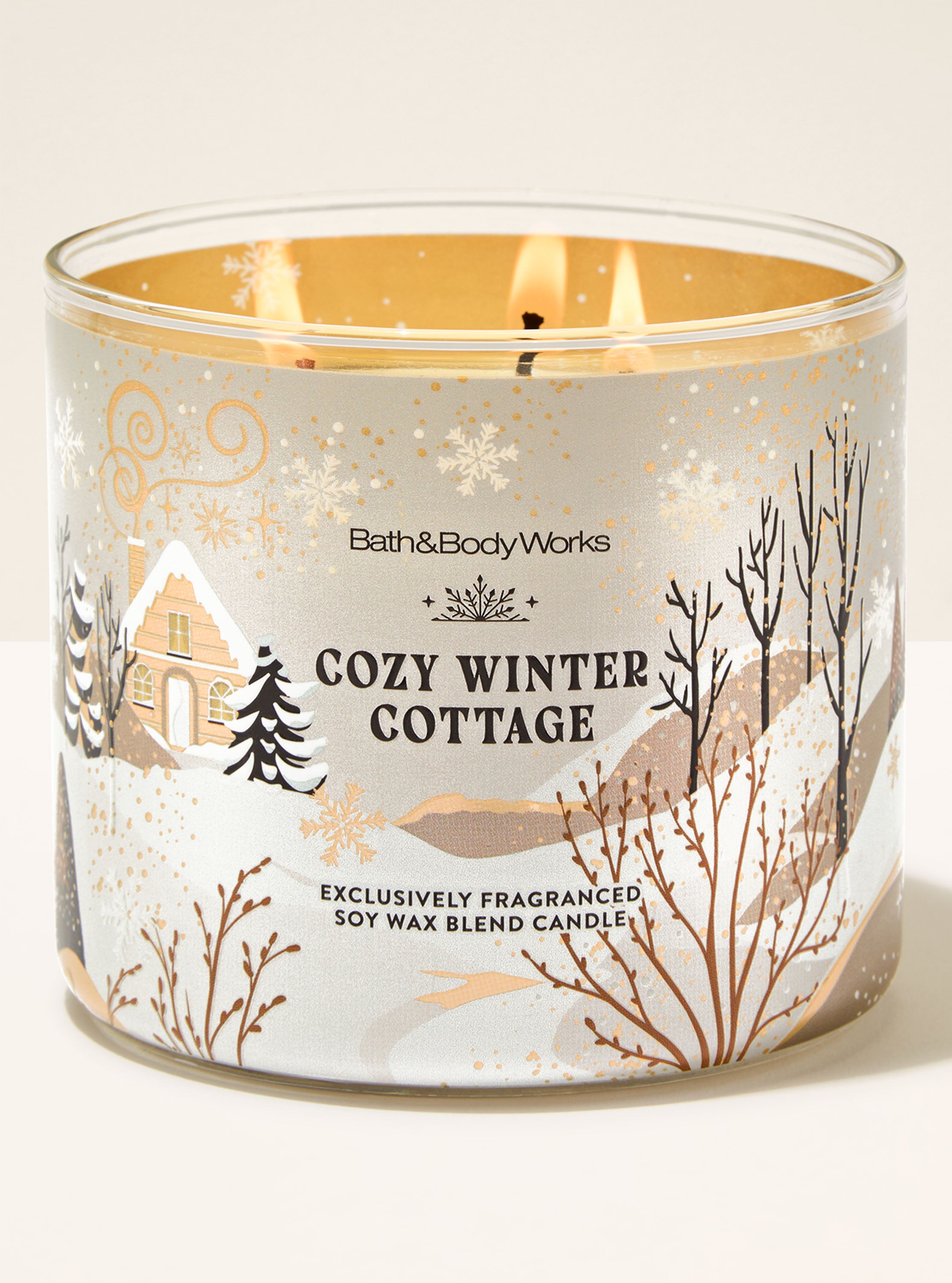 Cozy Winter Cottage
