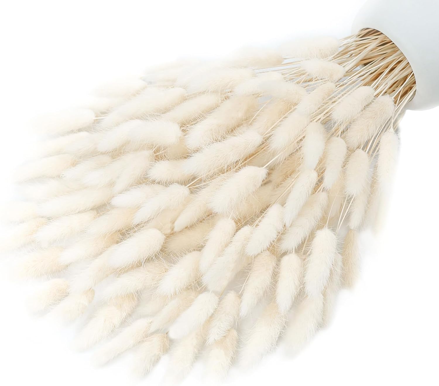 120 Sticks Dried Bunny Tail, White Bunny Tail, Natural Bulk Dried Flowers for Diy Bohemian Wedding Rustic Party Decorations, Home Vase Decorations, Wreaths, Birthday Cake Decorations.(White)