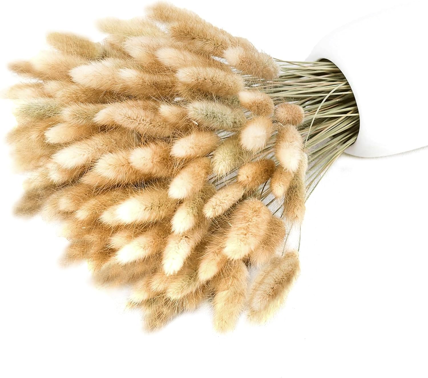 120pcs Dried Rabbit Tails, Natural Bulk Dried Flowers for DIY Bohemian Wedding Rustic Party Decorations, Wreaths, Cake Decorations. (Brown)